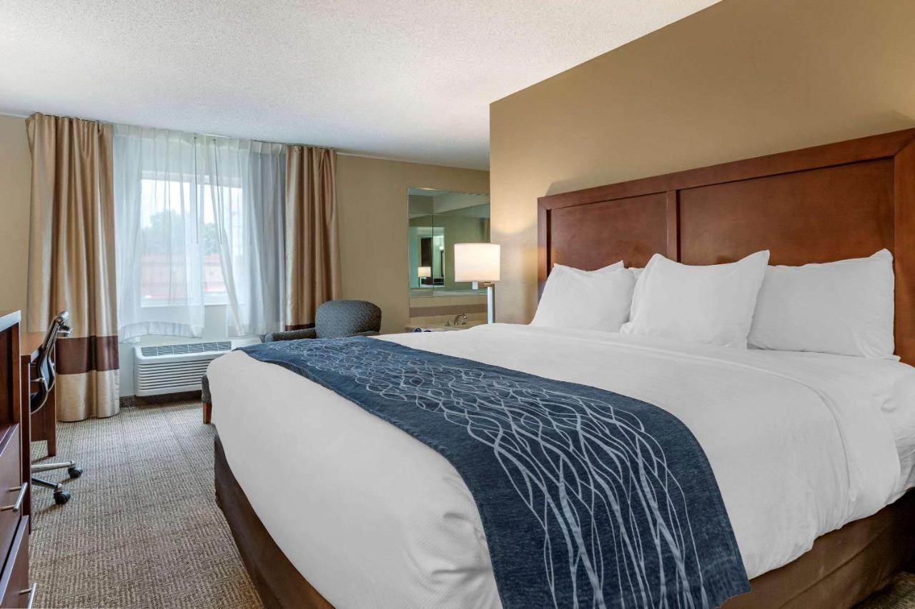 Comfort Inn & Suites Dimondale - Lansing Luaran gambar