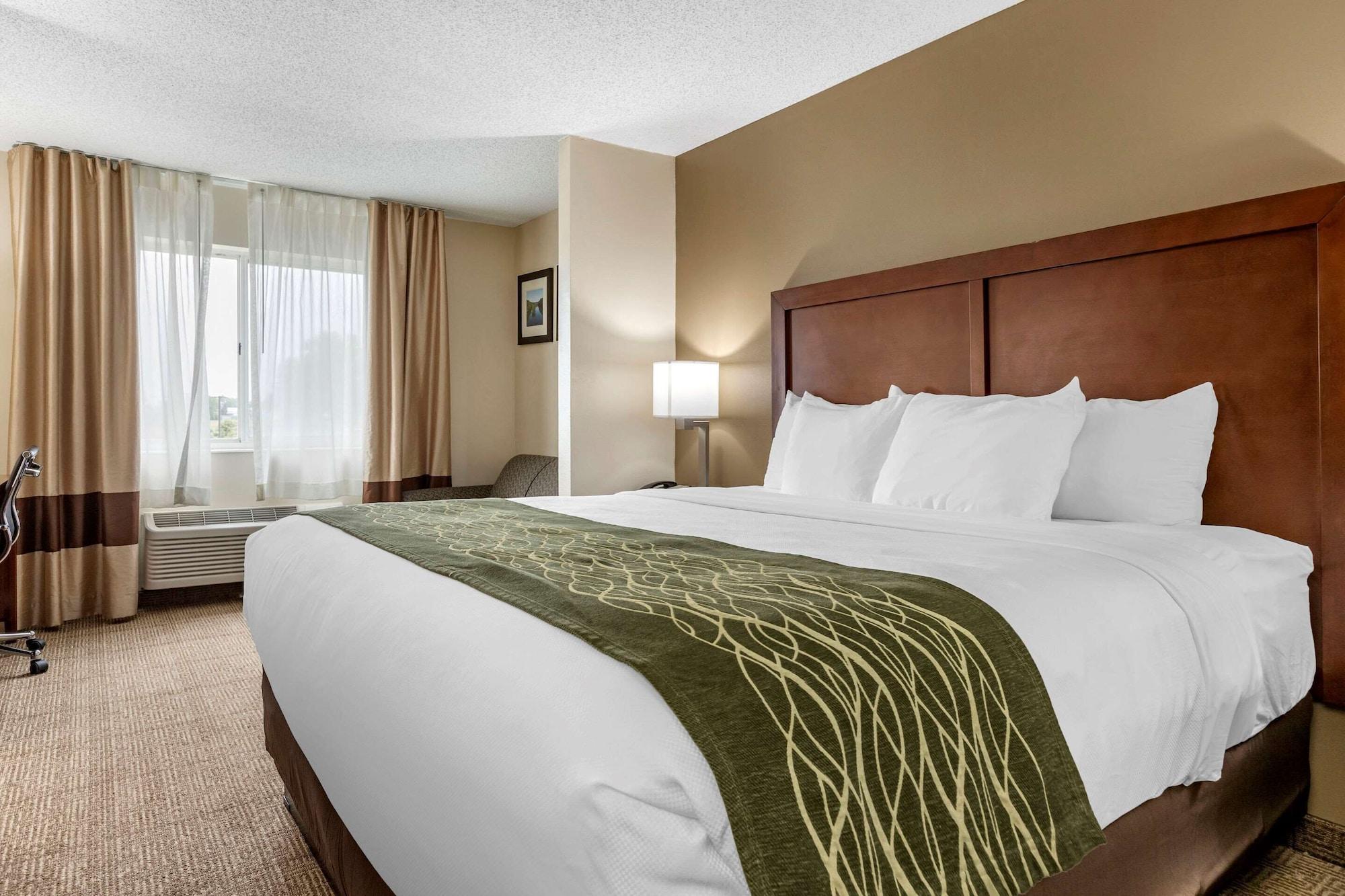 Comfort Inn & Suites Dimondale - Lansing Luaran gambar
