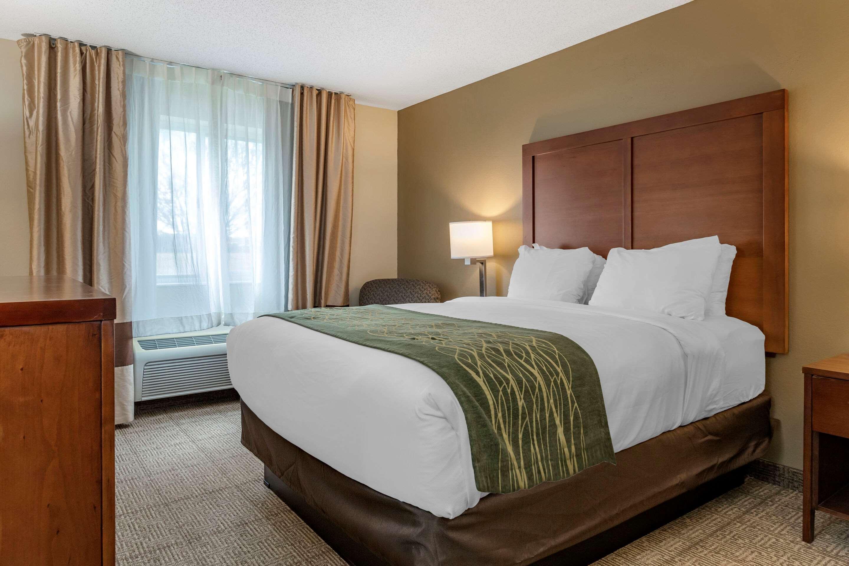 Comfort Inn & Suites Dimondale - Lansing Luaran gambar