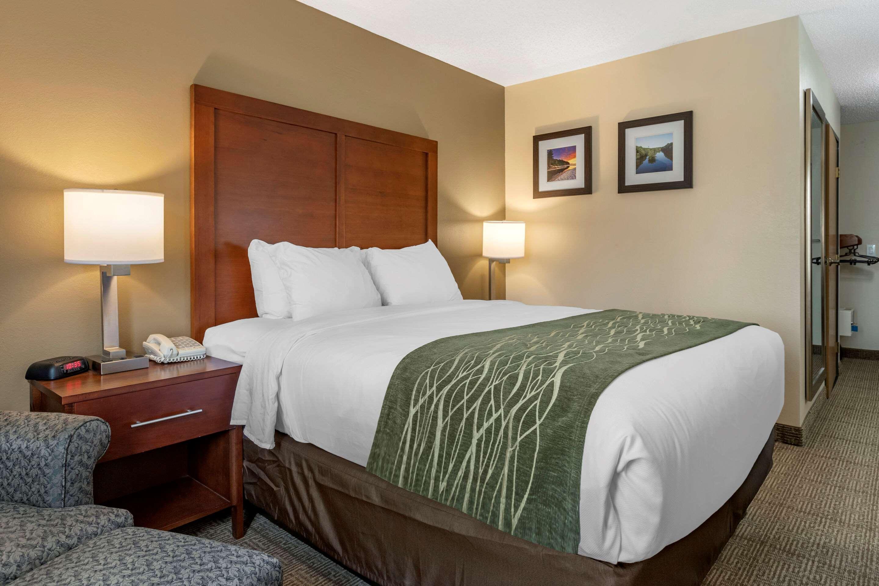 Comfort Inn & Suites Dimondale - Lansing Luaran gambar
