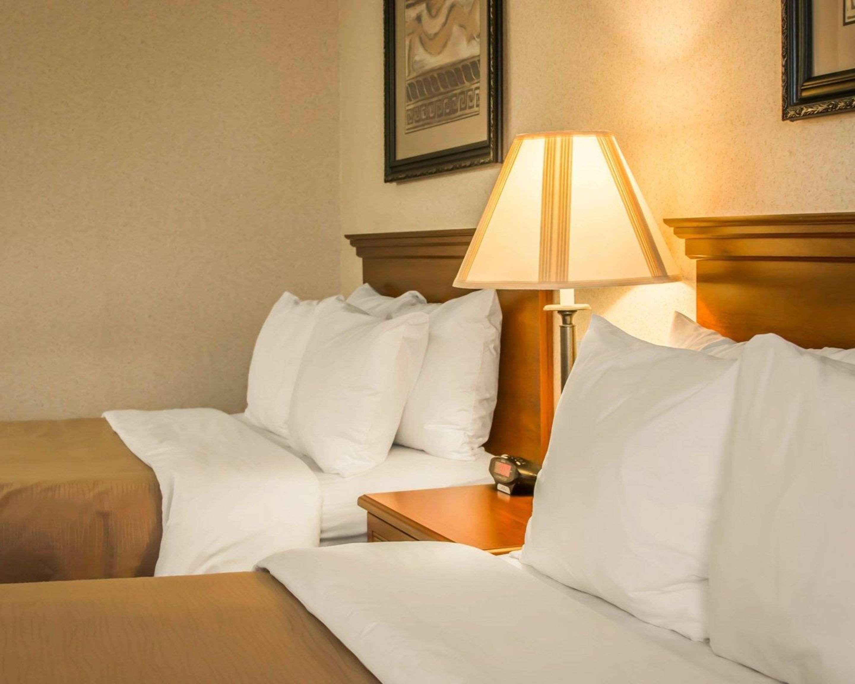 Comfort Inn & Suites Dimondale - Lansing Luaran gambar