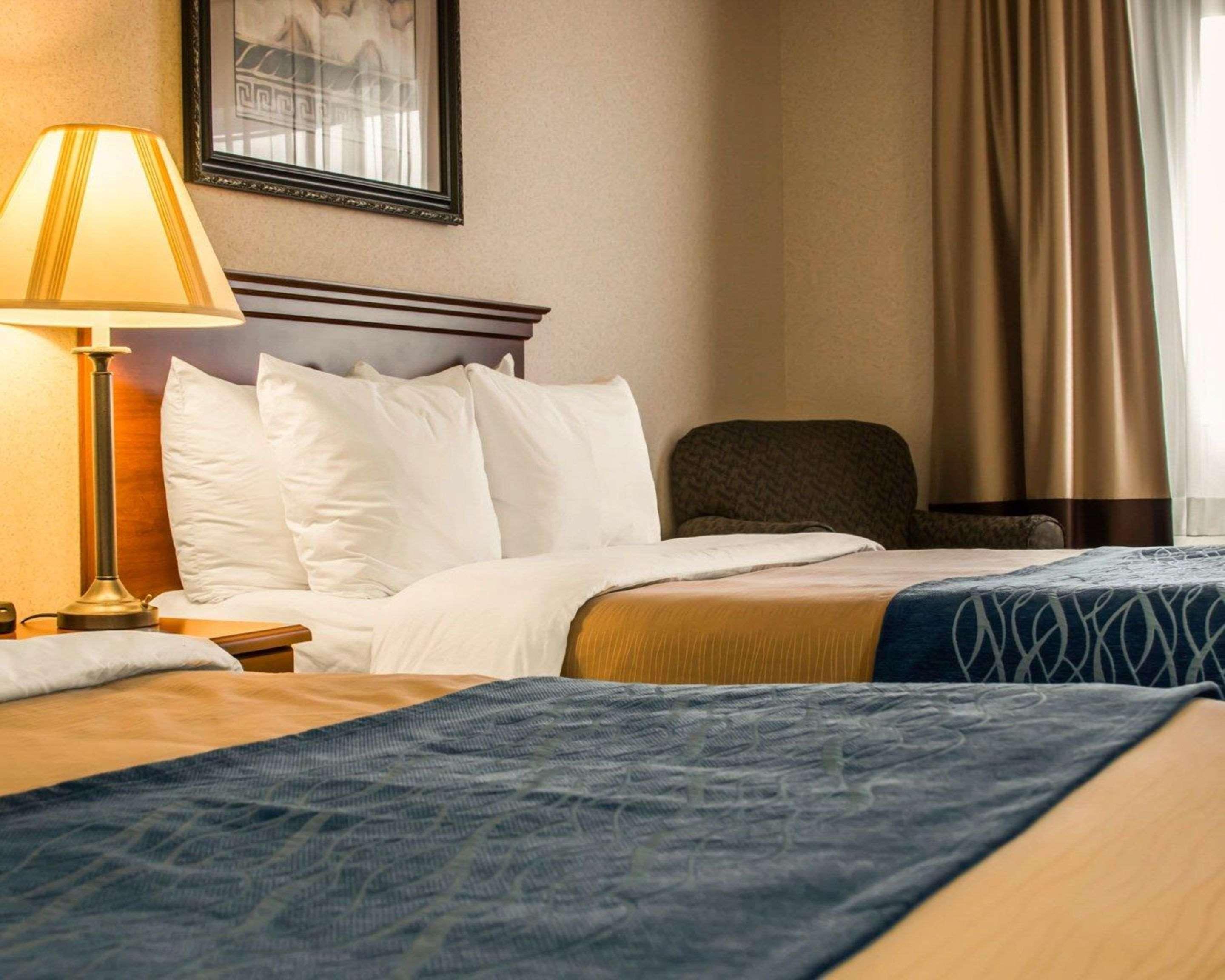 Comfort Inn & Suites Dimondale - Lansing Luaran gambar