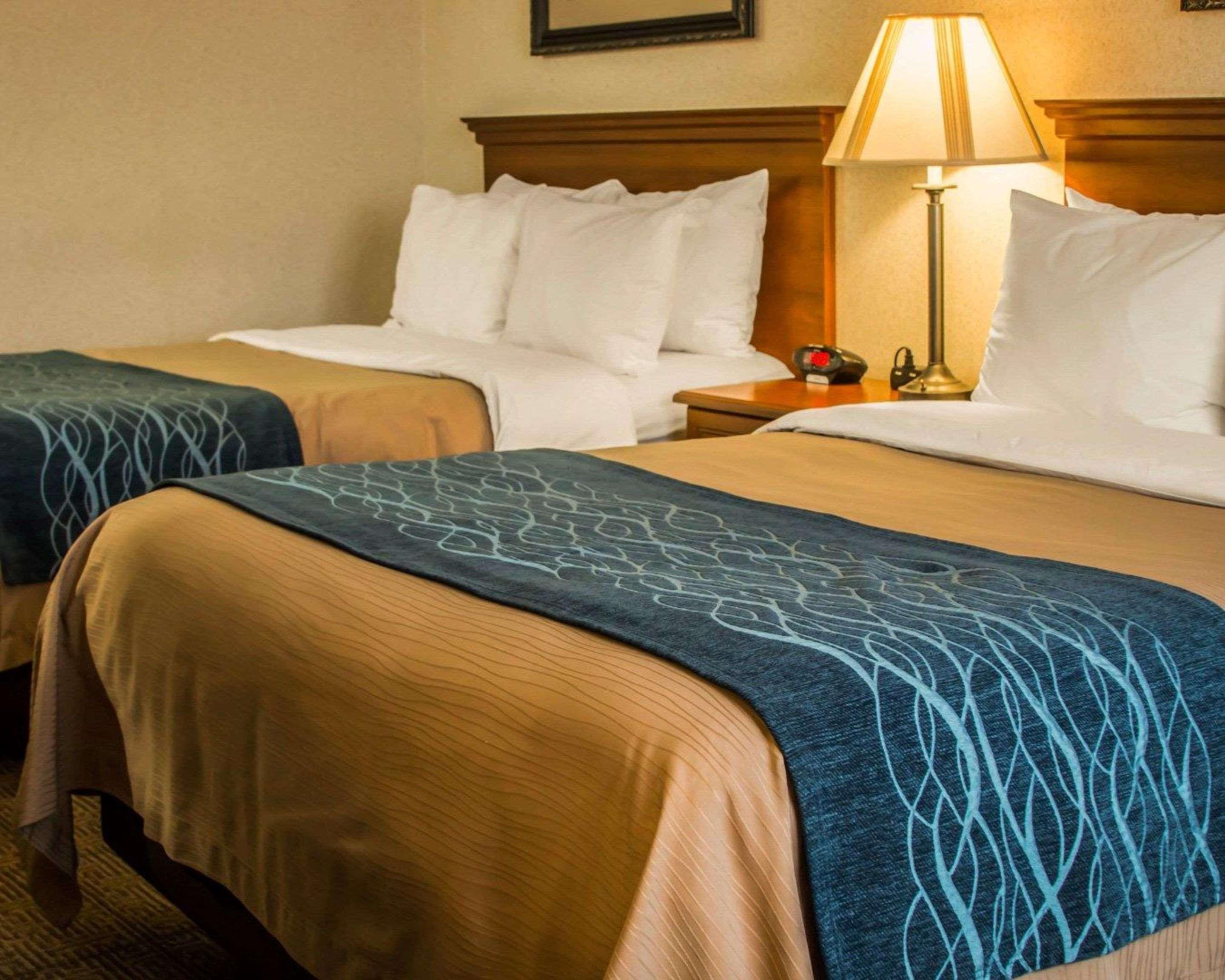 Comfort Inn & Suites Dimondale - Lansing Luaran gambar