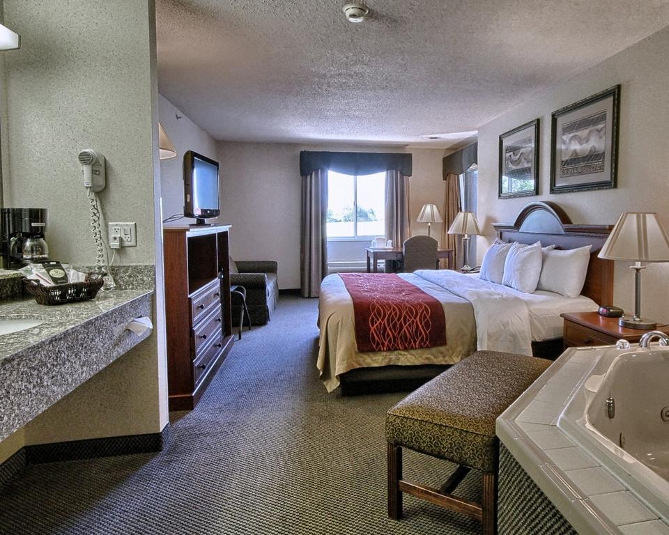 Comfort Inn & Suites Dimondale - Lansing Luaran gambar