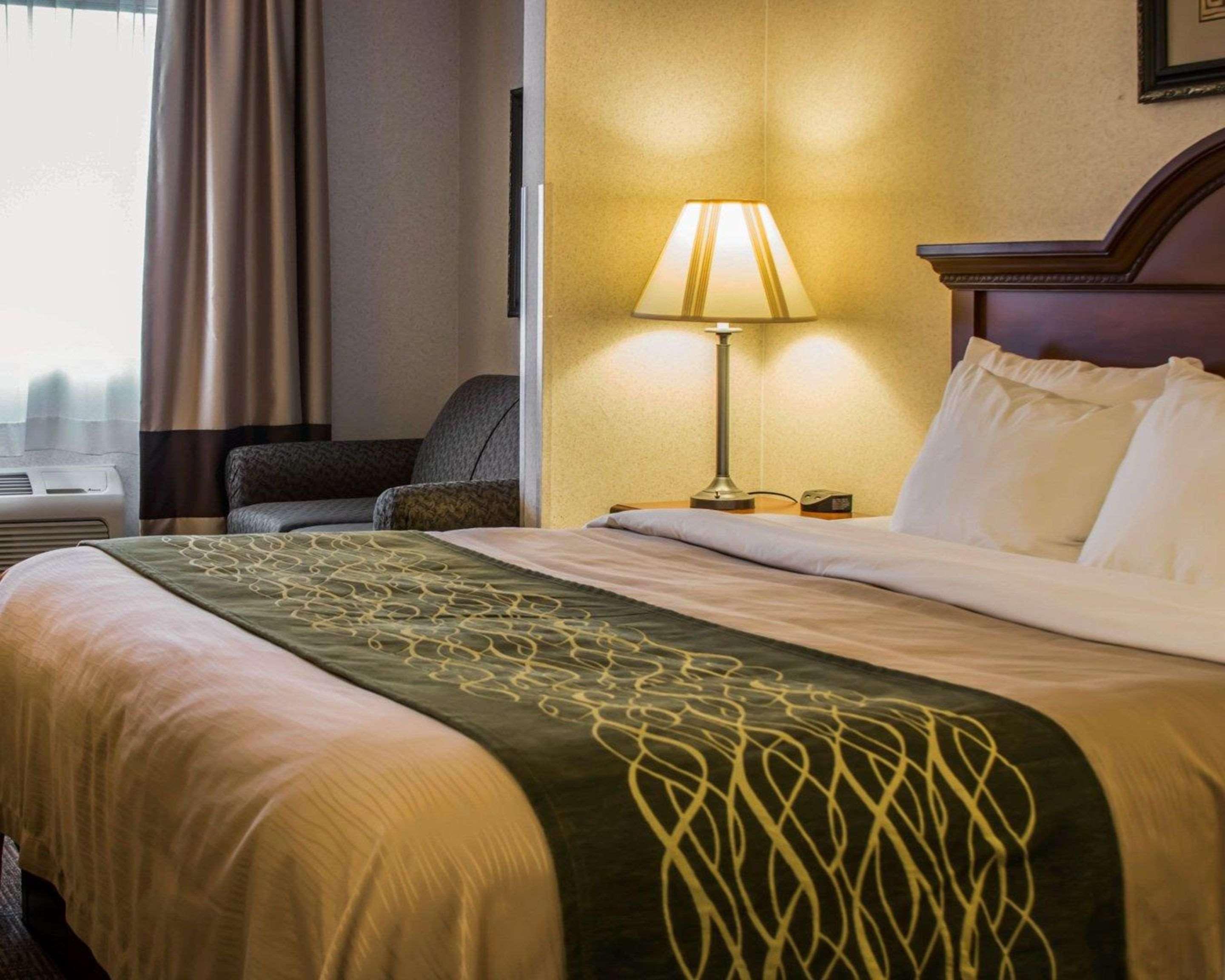 Comfort Inn & Suites Dimondale - Lansing Luaran gambar