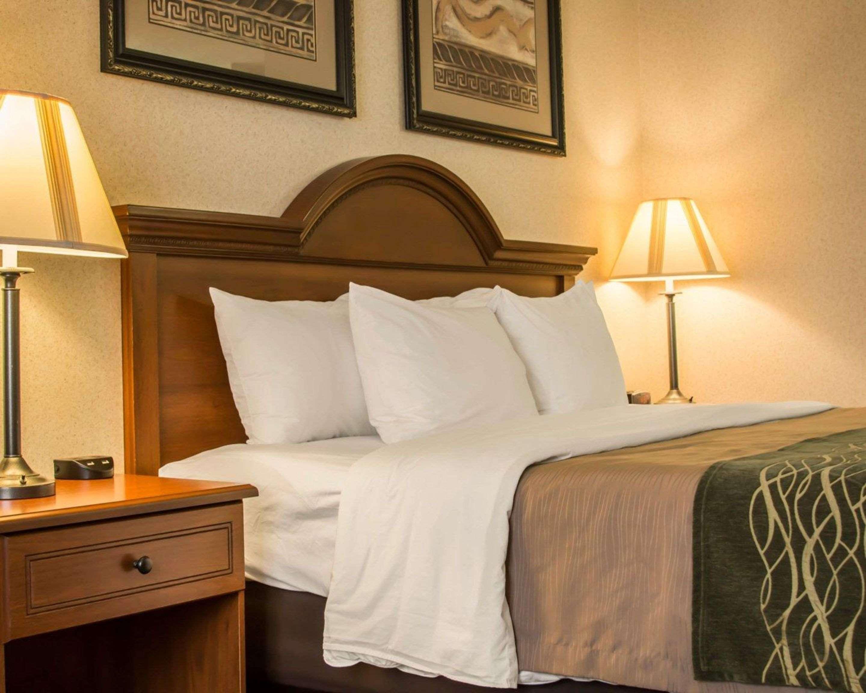 Comfort Inn & Suites Dimondale - Lansing Luaran gambar