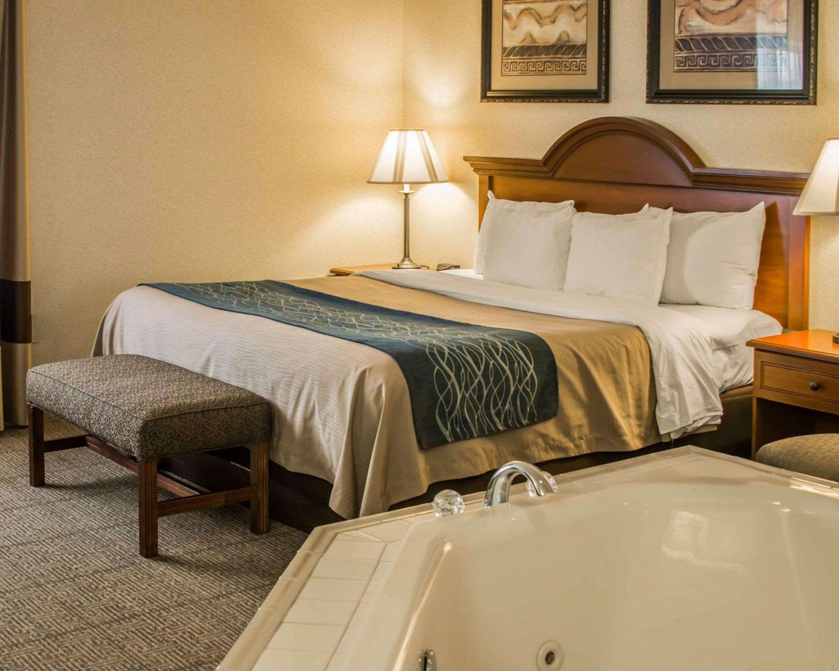 Comfort Inn & Suites Dimondale - Lansing Luaran gambar
